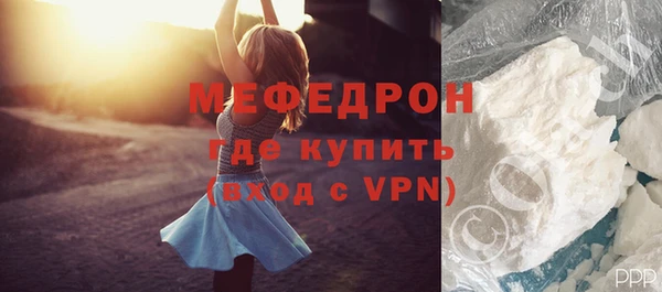 индика Новозыбков