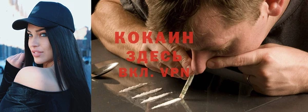 дживик Новодвинск