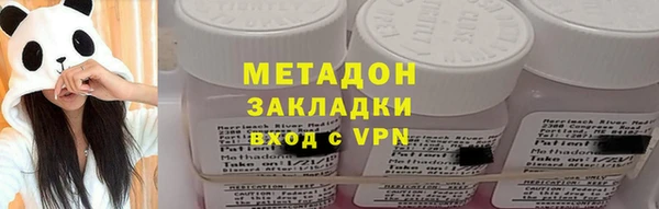 индика Новозыбков