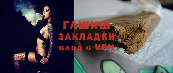 индика Новозыбков