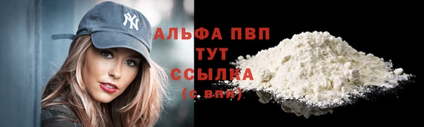 дживик Новодвинск