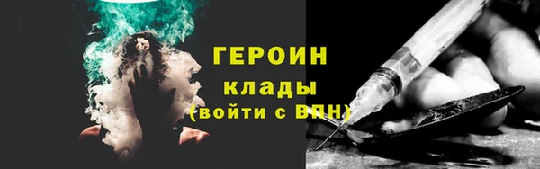 индика Новозыбков