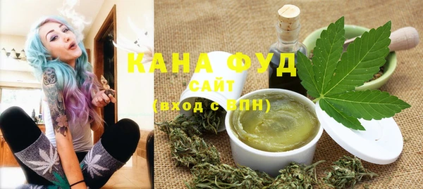 индика Новозыбков