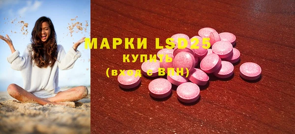 индика Новозыбков