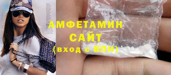 индика Новозыбков