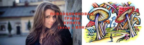 индика Новозыбков