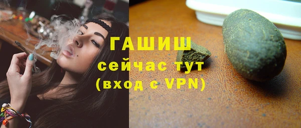 индика Новозыбков