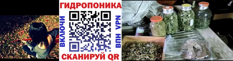 Конопля VHQ  Купить где  Людиново 